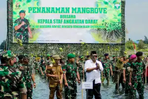 Lestarikan Pesisir Aceh, Kasad Tanam 64 Ribu Batang Mangrove