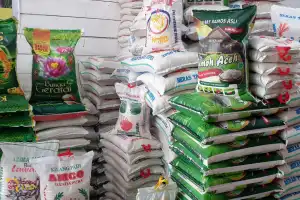 Harga Beras di Bener Meriah Turun Jelang Ramadan, Telur dan Minyak Naik