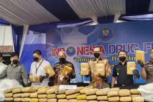 BNN Gagalkan Peredaran Ganja di Sigli, Lahan Seluas Empat Hektare Dimusnahkan