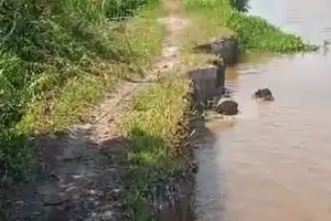 Jalan Penghubung Antar Desa di Aceh Singkil Terancam Putus