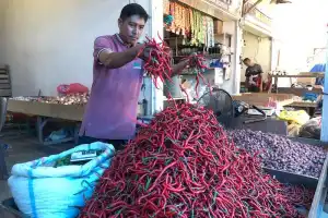 Harga Cabai Merah di Banda Aceh Naik Jelang Idul Adha