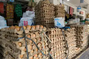 Harga Ayam Normal, Telur Turun di Banda Aceh