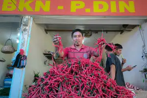 Harga Cabai dan Bawang Merah Turun Drastis di Banda Aceh