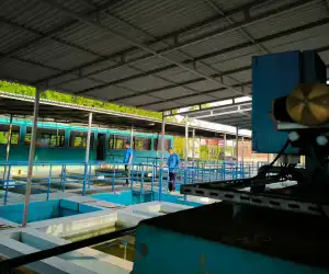 Foto: Produksi Air di PDAM Tirta Daroy Berkurang Akibat Kemarau