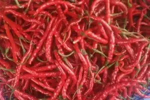 Harga Cabai Merah di Bener Meriah Naik