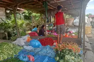 Harga Cabai Merah Turun di Aceh Singkil, IRT Bersyukur