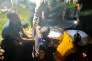 Pria Hilang Terseret Arus Asal Desa Melidi Ditemukan Meninggal Setelah Sepekan Pencarian