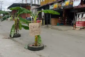 Warganya Meninggal Akibat Kecelakaan, Pemuda Bener Meriah Tanam Pohon Pisang di Jalan Berlubang