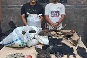 Polisi Amankan Dua Pelaku Perdagangan Satwa Lindung di Aceh Besar