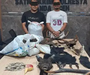 Polisi Amankan Dua Pelaku Perdagangan Satwa Lindung di Aceh Besar