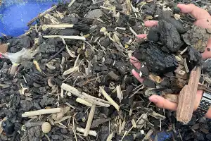 Apel Green Aceh Pertanyakan Klaim DLHK Terkait Tumpahan Batubara Tidak Terindikasi Pencemaran