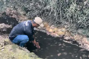 Apel Green Aceh Pertanyakan Informasi Hasil Lab Krueng Trang Nagan Raya