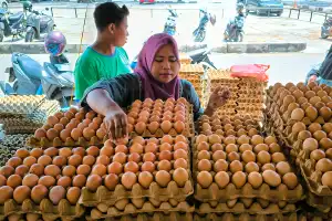 Beras Stabil di Harga Tertinggi, Minyak Goreng Naik