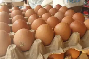 Harga Telur Ayam Ras di Bener Meriah Tembus Rp56 Ribu Per Papan