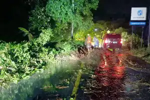 Jalan Nasional Bireuen-Takengon Tertimbun Longsor, Pengendara Diimbau Waspada