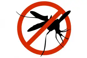 Kasus Malaria di Pulau Banyak Aceh Singkil Terus Bertambah