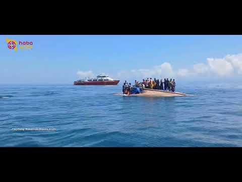 Sempat Hilang saat Pencarian, Pengungsi Rohingya Ditemukan di Laut Aceh Barat